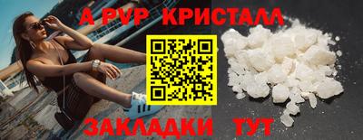 твердый Гусев